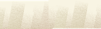 a cleaned carpet pattern
