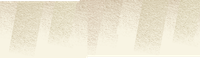 a cleaned carpet pattern